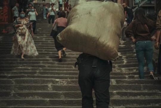 申请港校的手续详解，从准备到录取的全程指南